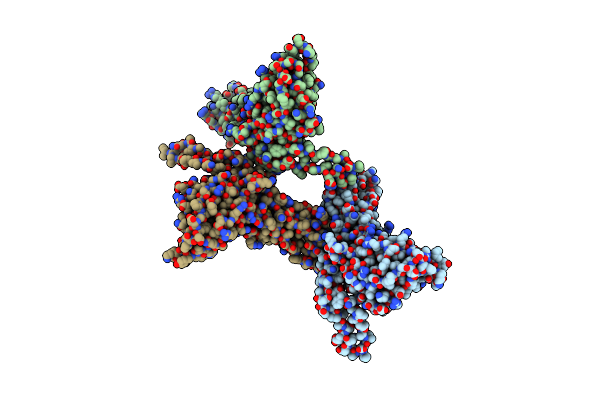 7S2T image