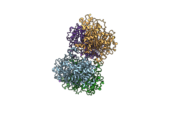 7S2X image