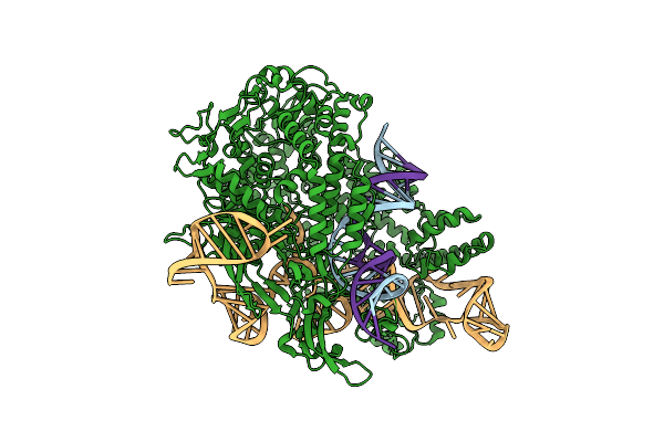 7S36 image