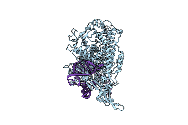 7S37 image