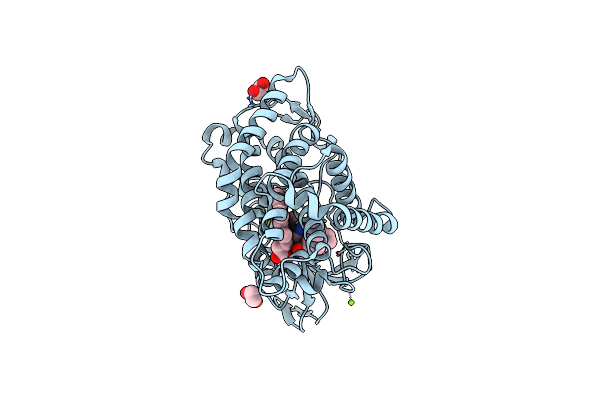 7S3T image