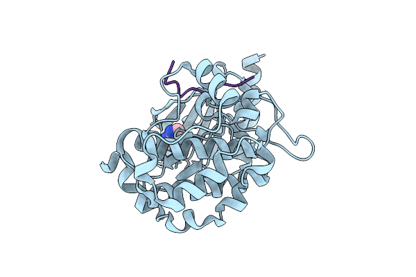 7S46 image
