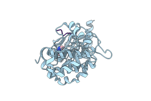 7S47 image