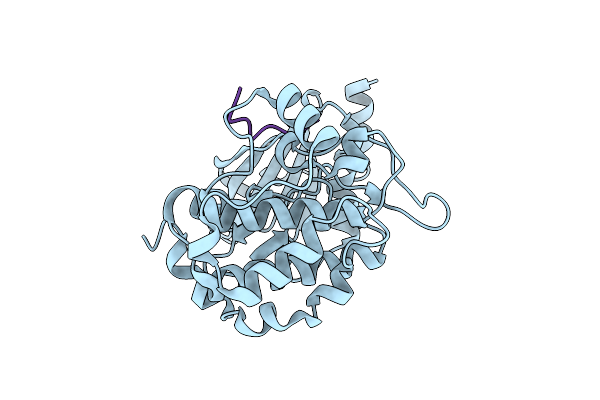 7S48 image