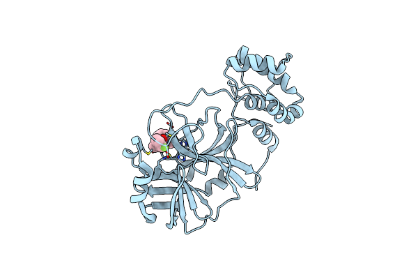 7S4B image