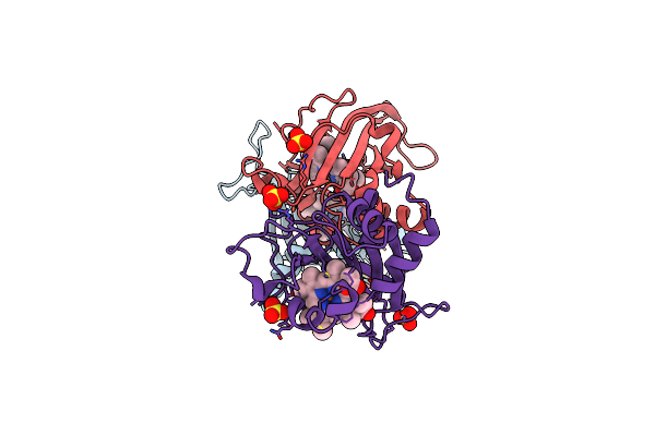 7S5O image