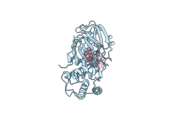 7S6Y image
