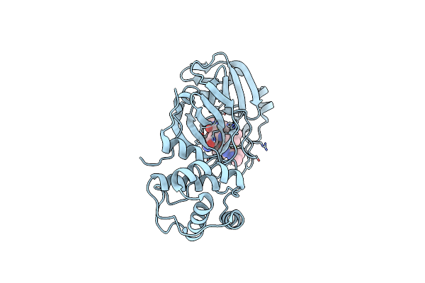 7S71 image