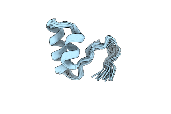 7S7P image