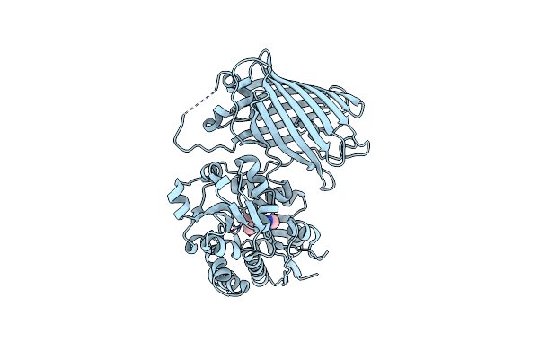 7S7T image