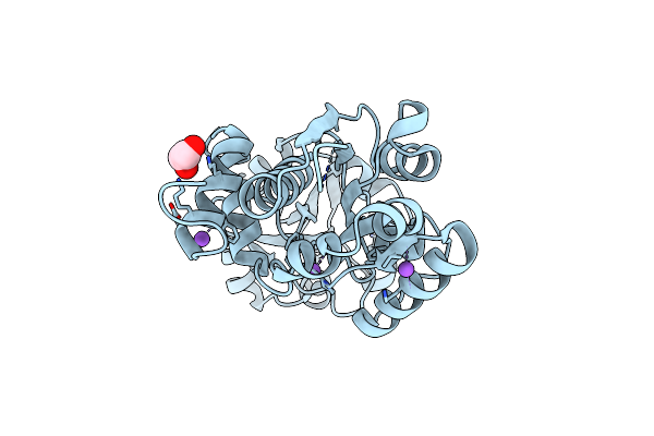 7S7W image