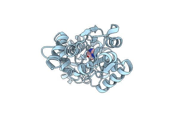 7S7Y image