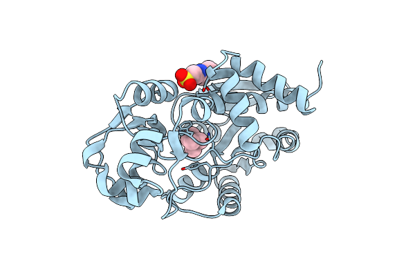 7S7Z image