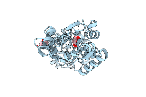 7S80 image