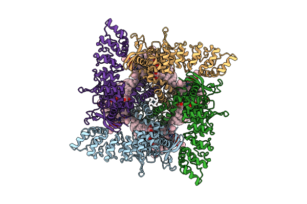 7S8B image