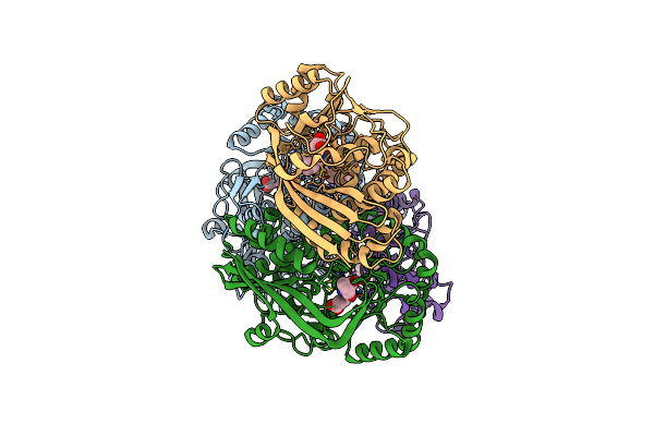 7S8W image
