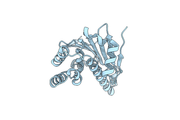 7S8Z image