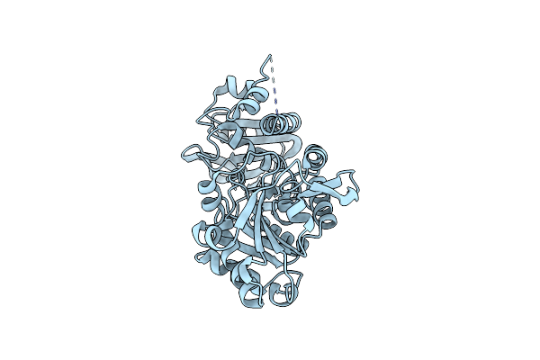 7S91 image