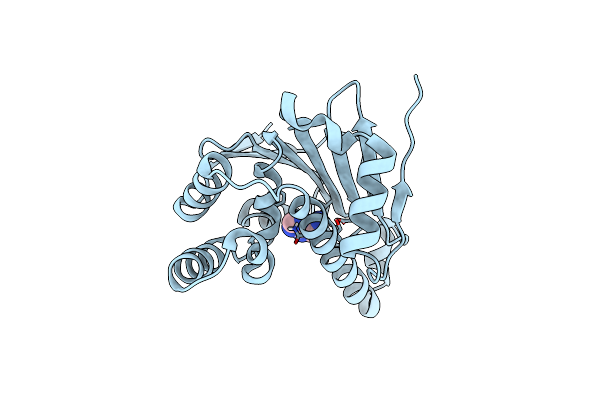 7S95 image