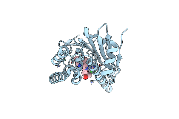 7S9H image