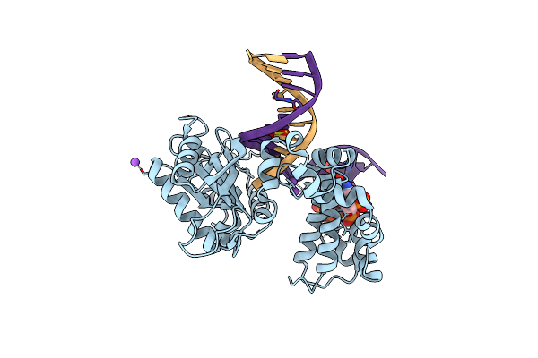 7S9L image