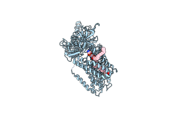 7S9Z image