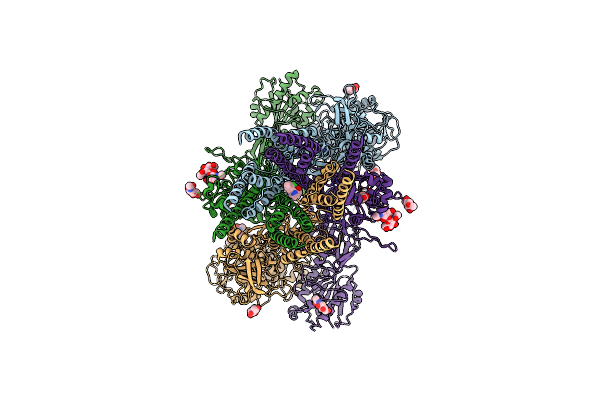 7SAC image