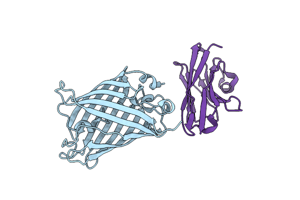 7SAH image