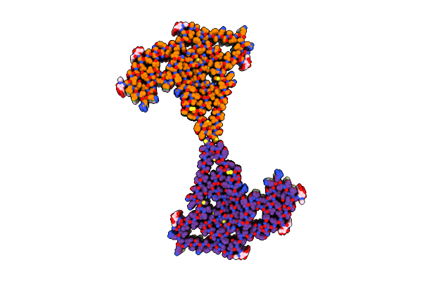 7SAS image