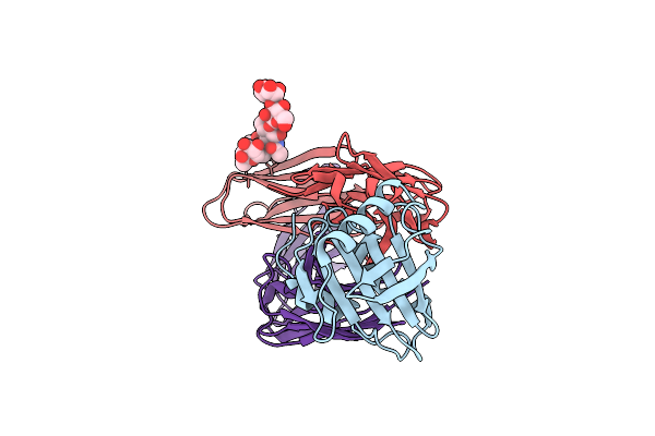 7SBD image