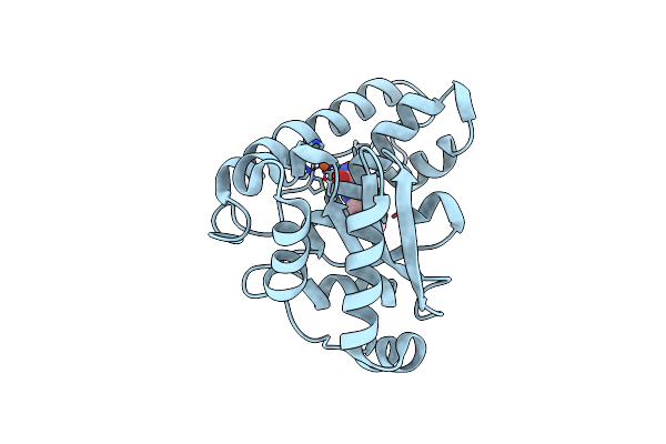 7SBH image