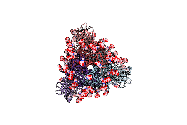7SBK image