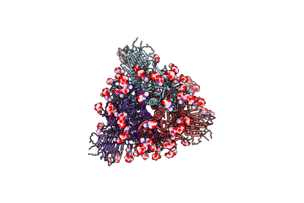7SBO image