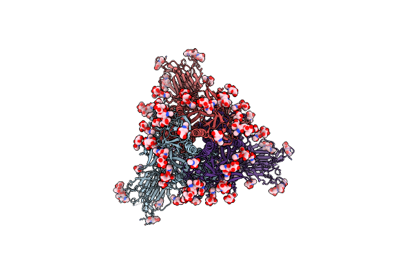 7SBT image