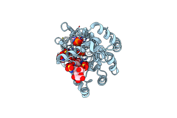 7SCD image
