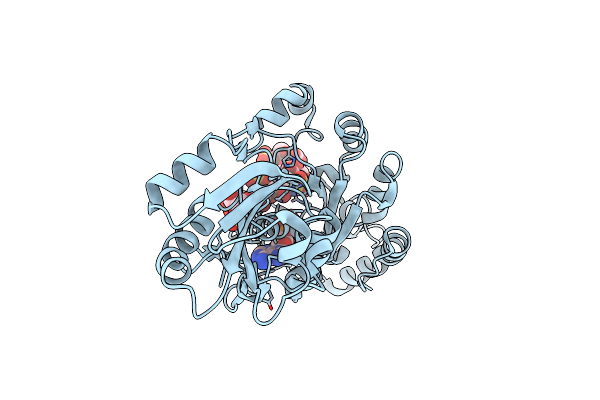 7SCE image