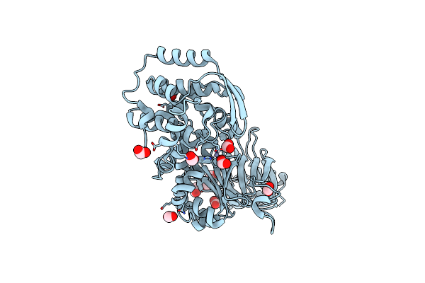 7SCI image