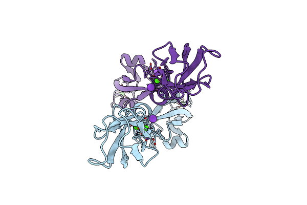 7SCM image