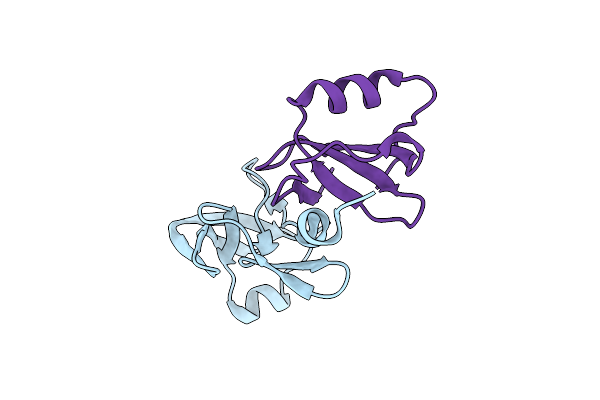 7SCT image