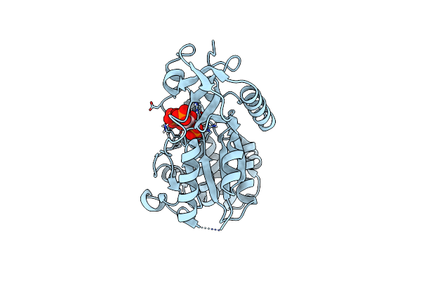 7SDD image
