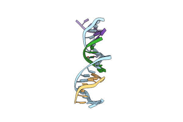 7SDI image