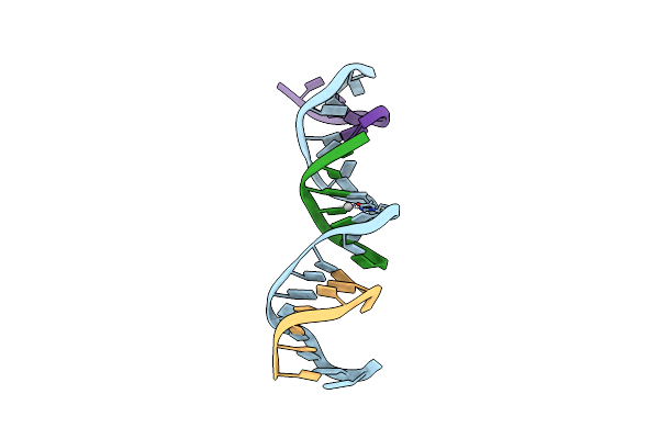 7SDL image