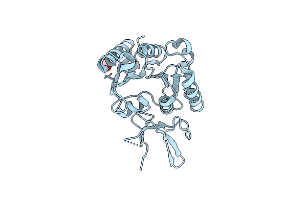 7SE6 image