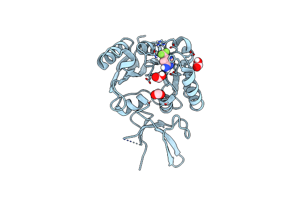 7SEB image