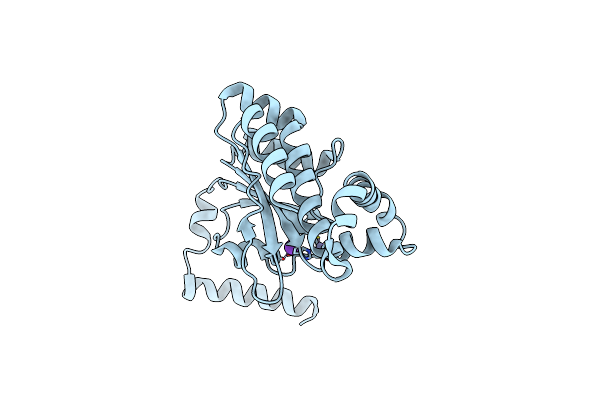 7SEV image