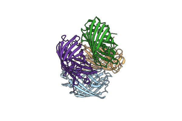 7SFA image