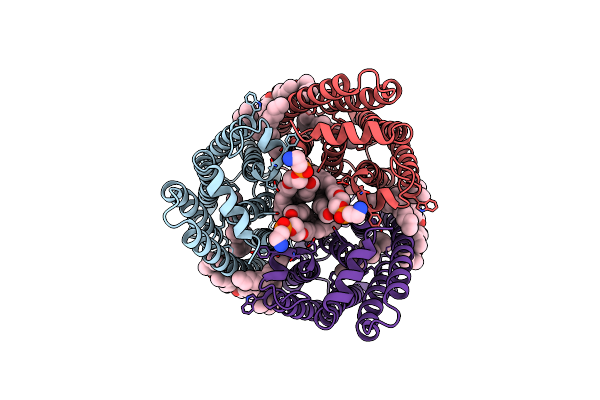 7SFK image