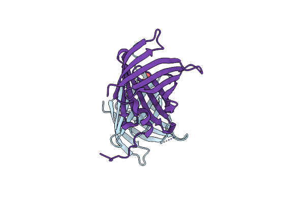 7SFN image