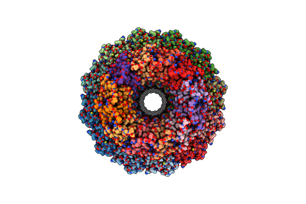 7SFS image