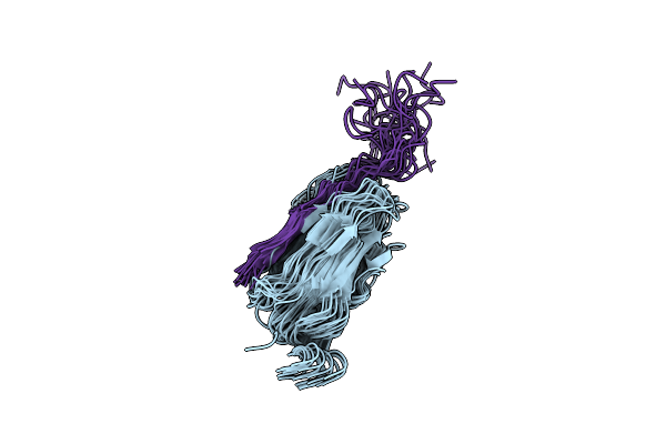 7SFT image